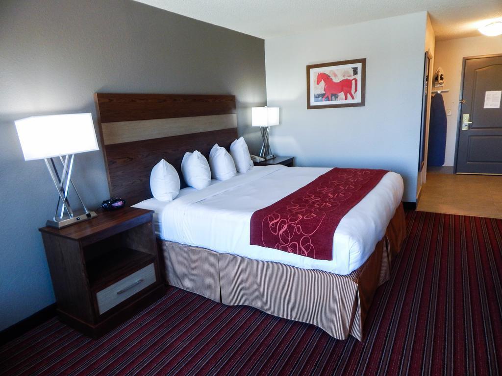 Country Inn & Suites By Radisson, Dfw Airport South, Tx Irving Esterno foto